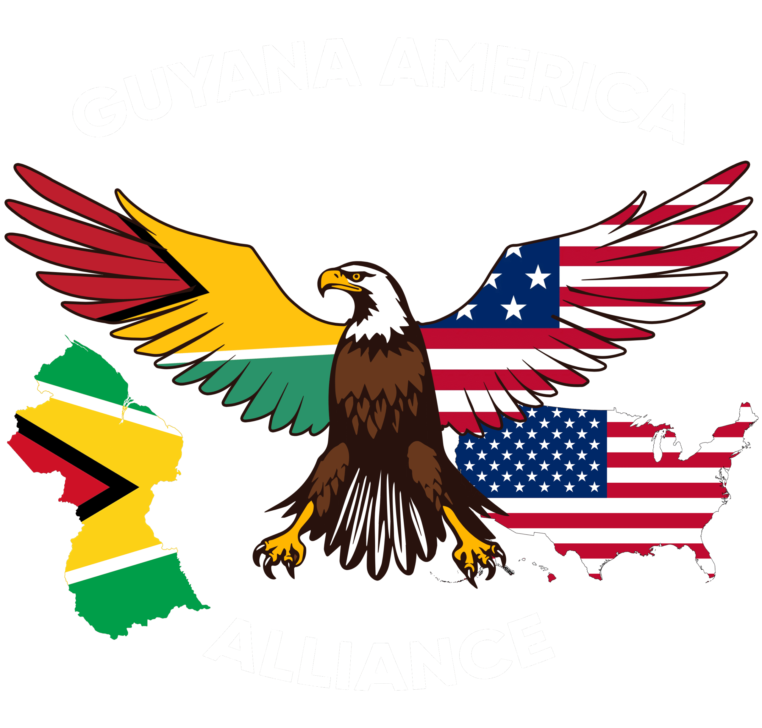 guyanaamericaalliance.org